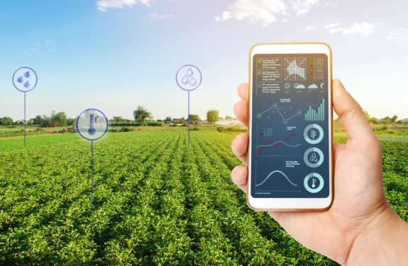 MBA Agribusiness